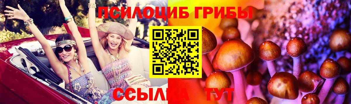 Псилоцибиновые грибы ЛСД Полевской